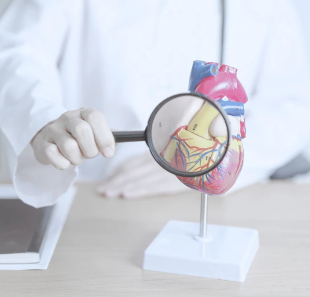 Сердечная недостаточность (СН)